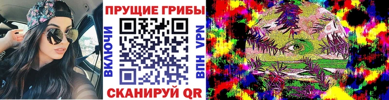 продажа наркотиков  Большой Камень  Псилоцибиновые грибы мицелий 
